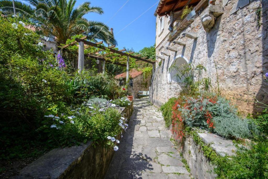 Stella City Center Accommodation Dubrovnik Exterior foto